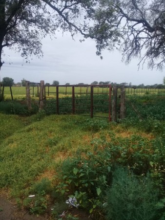 Quinta de 6 hectáreas en Villa Huidobro, Córdoba