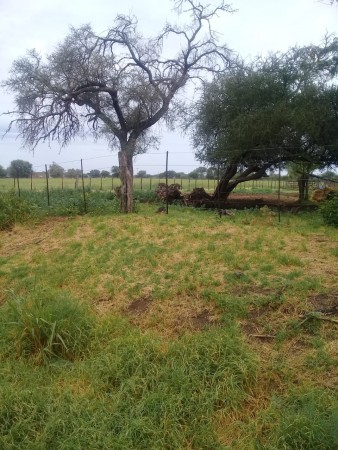 Quinta de 6 hectáreas en Villa Huidobro, Córdoba