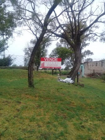 Quinta de 6 hectáreas en Villa Huidobro, Córdoba