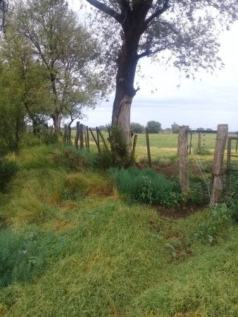 Quinta de 6 hectáreas en Villa Huidobro, Córdoba