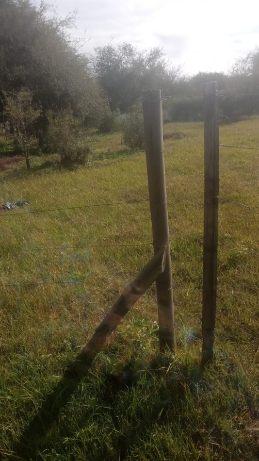 VENTA DE LOTES EN LA MARIANITA, ANISACATE CORDOBA