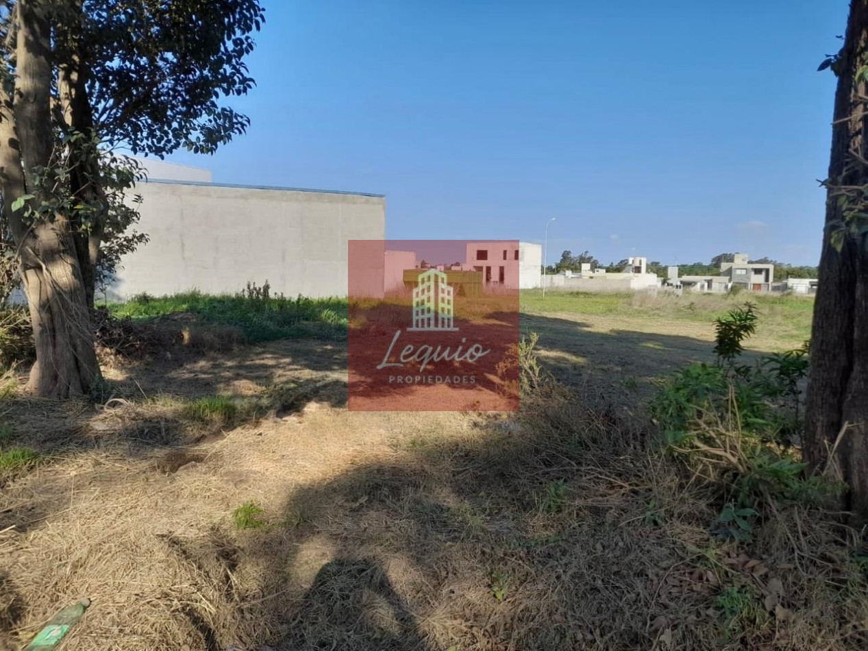 LOTE EN LAS HIGUERAS, CORDOBA