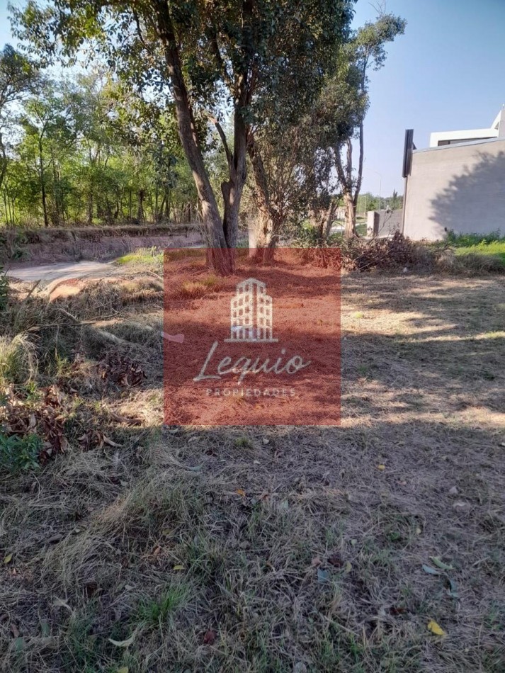 LOTE EN LAS HIGUERAS, CORDOBA